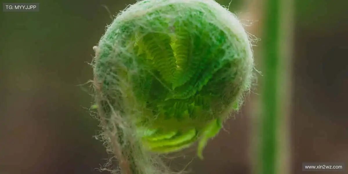 全球赛事同步追，精彩瞬间不错过！🌍⏯️